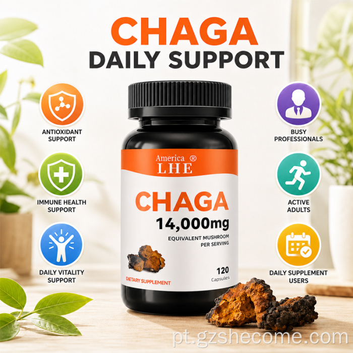 Cápsulas de Cogumelos Shecome Cogumelos Chaga Apoiam a Saúde